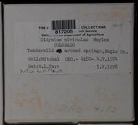 Image Associated With the Occurence